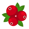Cranberry Winkel