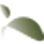Crannull Lead Generation