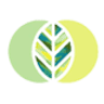 Create Balance Psychotherapy & Counselling