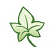 Cremation Society of Connecticut