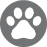 Crematório Paraíso dos Animais