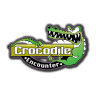 Crocodile Encounter
