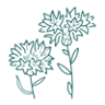 Crooked Roots Design