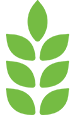 Crop Management Network