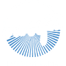 CrossFit Folsom Lake