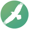 Crow Flies Marketing
