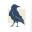 Crow Law Firm