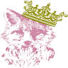 Crown & Fox Boutique