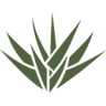 Consejo Regulador Del Tequila, A.C.