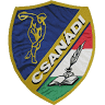 Csanádi Árpád Általános Iskola, Sportiskola és Középiskola