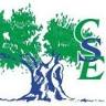 CSE MURCIA estudios SLU.