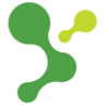 Cornerstone Solutions Group, Inc.