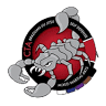 CTA BJJ MMA