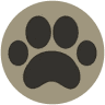 Connecticut Feline Medicine and Surgery