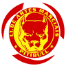 CT Pitibull - Centro de Artes Marciais