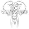 Cultivated Hemp Company