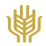 Cultivate Financial Planning