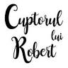Cuptorul lui Robert