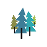 Camp Curiosity