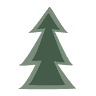 Custer Mountain Cabins & Campground