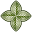 Customedica Pharmacy Eagle
