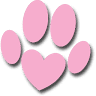Cutetee Pet Salon