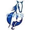 Cumberland Valley Equine Service