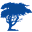 Cypress Retail Group