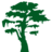 Cypress Bayou Casino Hotel