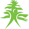 Cypress Physical Therapy