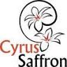 Cyrus Saffron