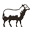 Daemwool