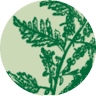 Dagfarma