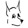 Dogwood Animal Hospital Pa: Jim Williams DVM