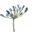 Dainty Dandelion