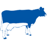 Dairy Systems Deutschland