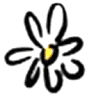 Daisy Carpet & Upholstery Cleaning