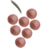 DAJO Traubenkernprodukte
