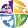 Dalhart City Manager