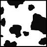 Dalmatian Black & White Custom