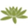 Dana Durand Massage Therapy, LLC