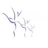 Dance It Up!, Inc.