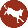 Dancing Mule Coffee Company