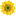 Dandelion Acres Garden Center