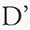 D'andrea Collection