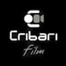 Tuscany Wedding Videographer Daniele Cribari - Video Matrimonio Arezzo, Firenze, Siena, Tuscany