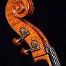 Daniel Nix Double Bass Studio