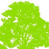 Daniels Lawn and Garden Center
