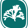 Danish Seaweed