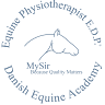 The Equine Academy